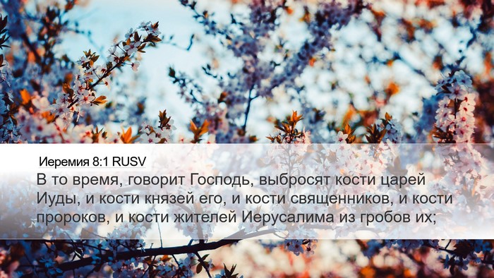 Иеремия 8:1 RUSV Bible Verse Image
