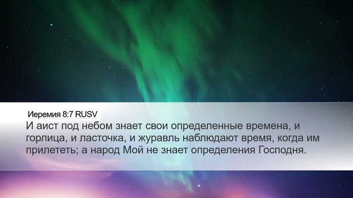 Иеремия 8:7 RUSV Bible Verse Image
