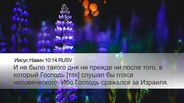 Иисус Навин 10:14 RUSV Bible Verse Image