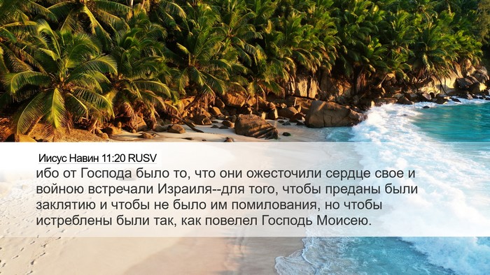 Иисус Навин 11:20 RUSV Bible Verse Image