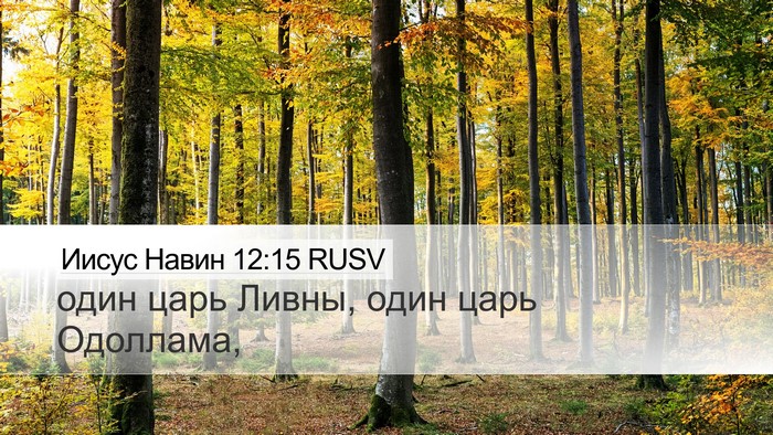 Иисус Навин 12:15 RUSV Bible Verse Image