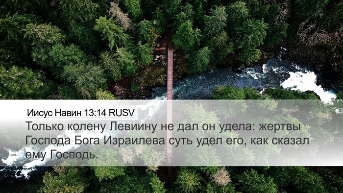 Иисус Навин 13:14 RUSV Bible Verse Image