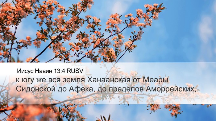Иисус Навин 13:4 RUSV Desktop Wallpaper - к югу же вся земля - Desktop Bible Verse Wallpaper