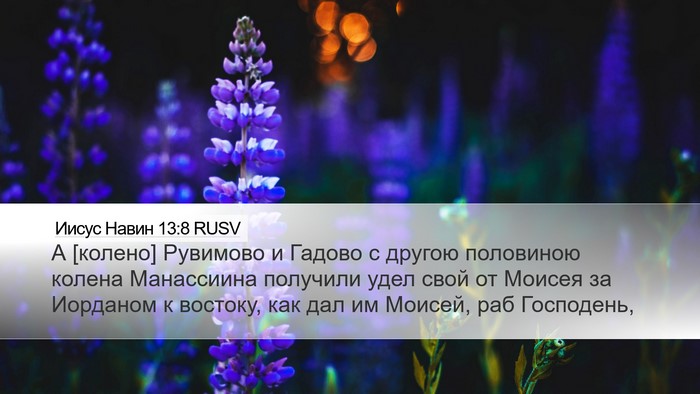 Иисус Навин 13:8 RUSV Bible Verse Image