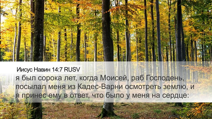 Иисус Навин 14:7 RUSV Desktop Wallpaper - я был сорока лет, когда - Desktop Bible Verse Wallpaper