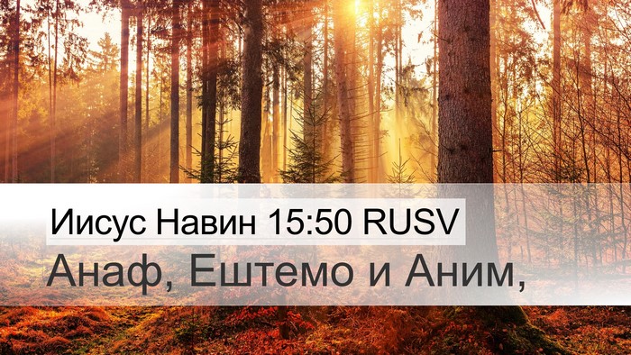 Иисус Навин 15:50 RUSV Bible Verse Image