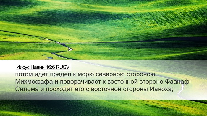 Иисус Навин 16:6 RUSV Bible Verse Image