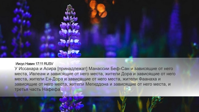 Иисус Навин 17:11 RUSV Bible Verse Image