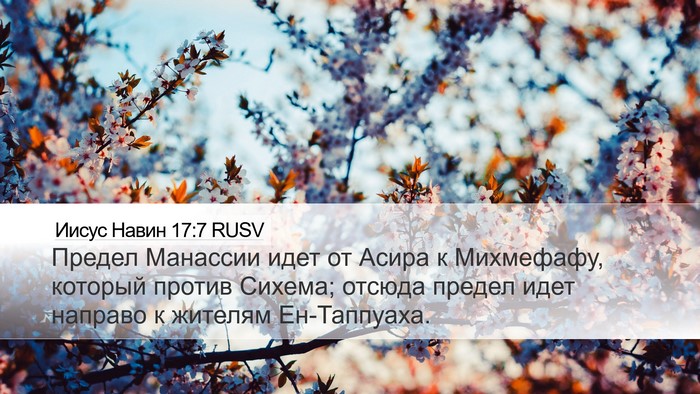 Иисус Навин 17:7 RUSV Desktop Wallpaper - Предел Манассии идет от - Desktop Bible Verse Wallpaper