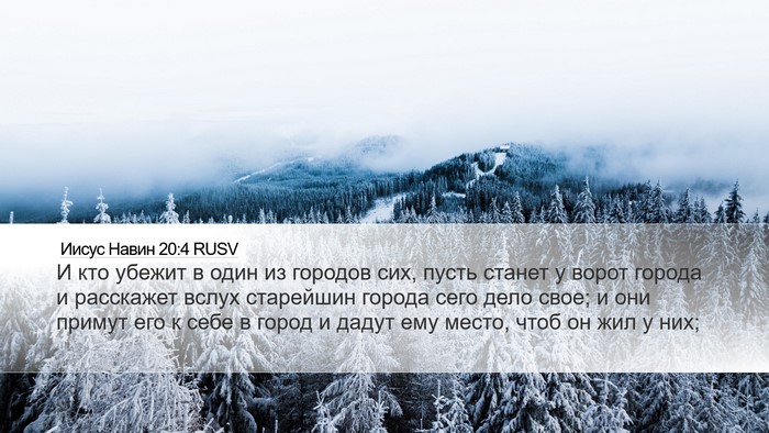 Иисус Навин 20:4 RUSV Bible Verse Image