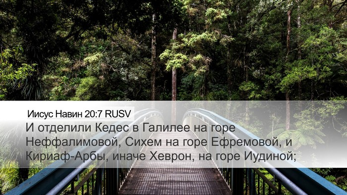Иисус Навин 20:7 RUSV Bible Verse Image