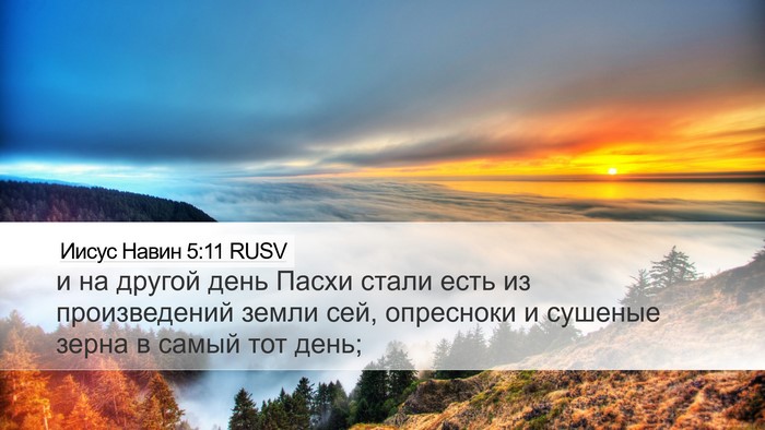 Иисус Навин 5:11 RUSV Bible Verse Image