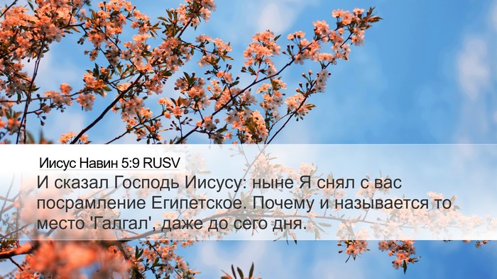 Иисус Навин 5:9 RUSV Bible Verse Image
