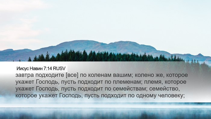 Иисус Навин 7:14 RUSV Desktop Wallpaper - завтра подходите [все] по - Desktop Bible Verse Wallpaper