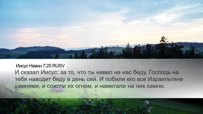 Иисус Навин 7:25 RUSV Bible Verse Image