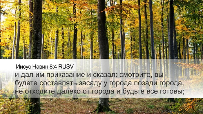 Иисус Навин 8:4 RUSV Bible Verse Image