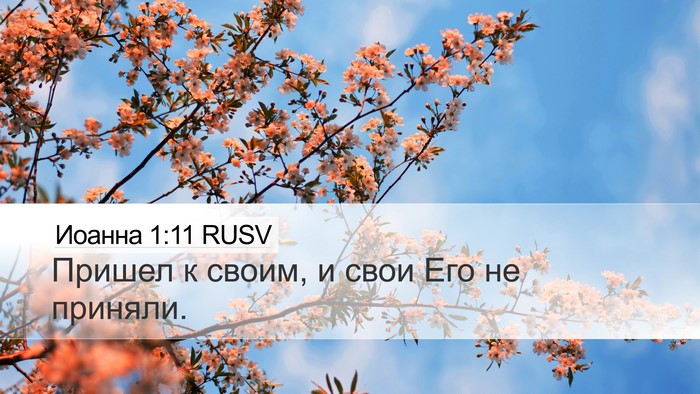 Иоанна 1:11 RUSV Bible Verse Image