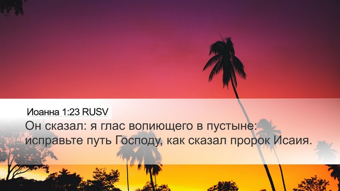 Иоанна 1:23 RUSV Bible Verse Image