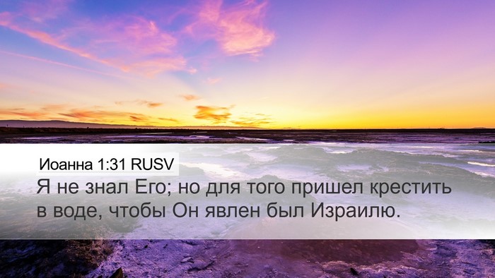 Иоанна 1:31 RUSV Bible Verse Image