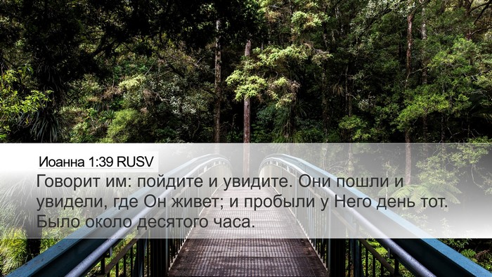 Иоанна 1:39 RUSV Desktop Wallpaper - Говорит им: пойдите и - Desktop Bible Verse Wallpaper