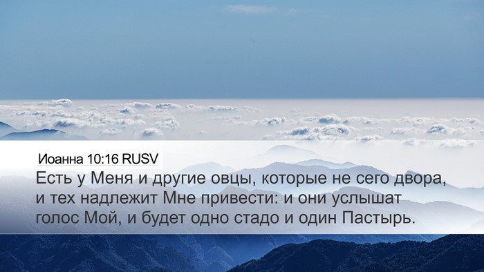Иоанна 10:16 RUSV Bible Verse Image