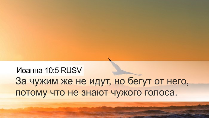 Иоанна 10:5 RUSV Bible Verse Image