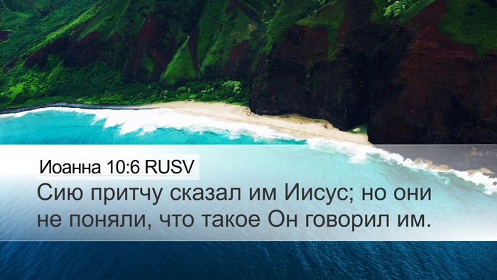 Иоанна 10:6 RUSV Bible Verse Image