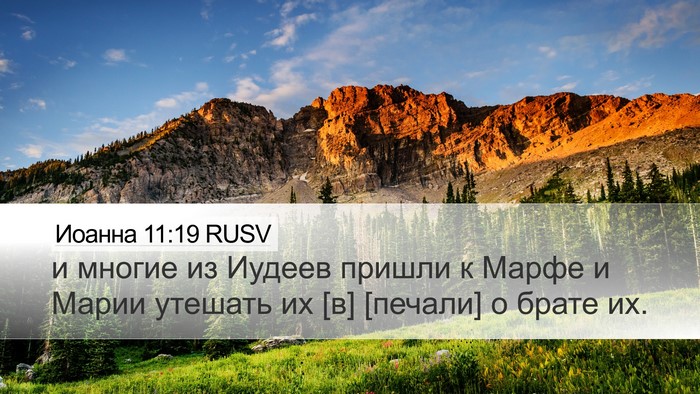 Иоанна 11:19 RUSV Bible Verse Image