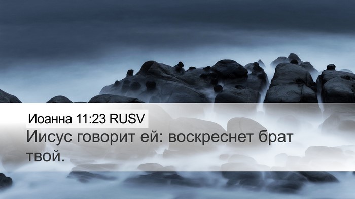 Иоанна 11:23 RUSV Bible Verse Image