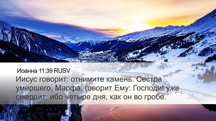 Иоанна 11:39 RUSV Bible Verse Image