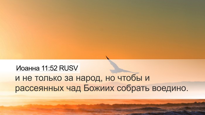 Иоанна 11:52 RUSV Bible Verse Image