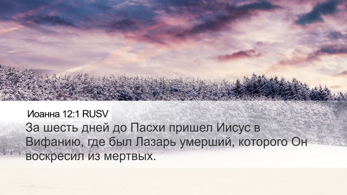 Иоанна 12:1 RUSV Bible Verse Image