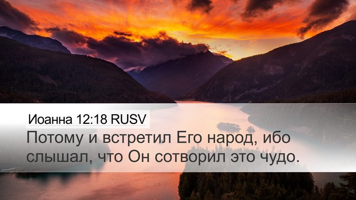 Иоанна 12:18 RUSV Bible Verse Image