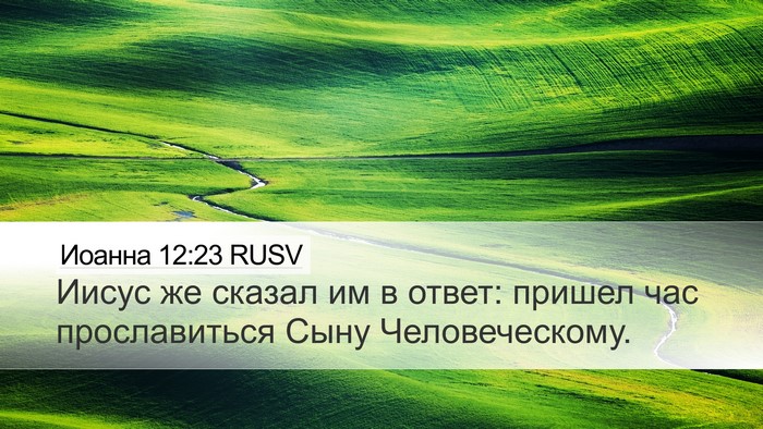Иоанна 12:23 RUSV Bible Verse Image