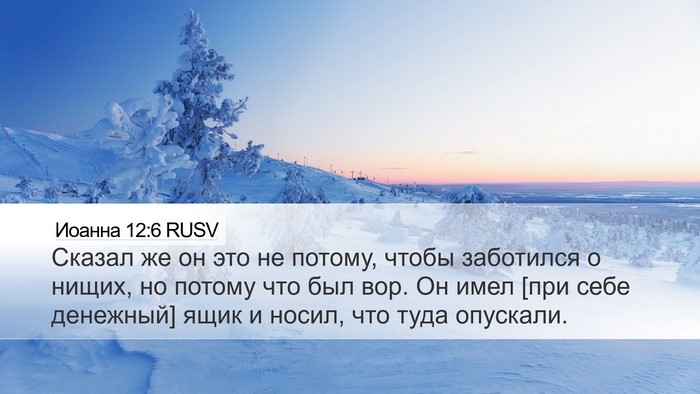 Иоанна 12:6 RUSV Bible Verse Image