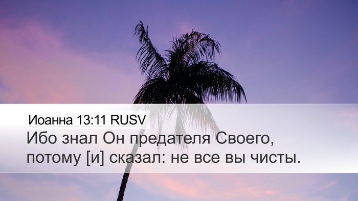 Иоанна 13:11 RUSV Bible Verse Image
