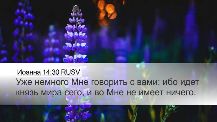Иоанна 14:30 RUSV Bible Verse Image