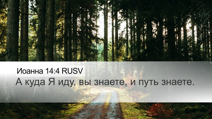 Иоанна 14:4 RUSV Bible Verse Image