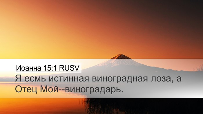 Иоанна 15:1 RUSV Bible Verse Image