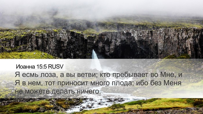 Иоанна 15:5 RUSV Bible Verse Image