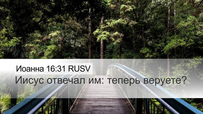 Иоанна 16:31 RUSV Desktop Wallpaper - Иисус отвечал им: теперь - Desktop Bible Verse Wallpaper