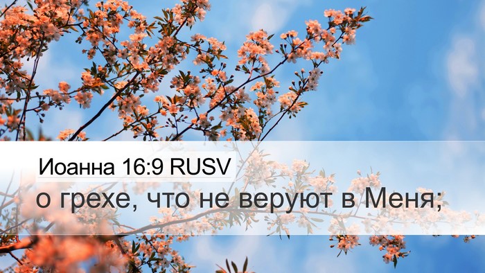 Иоанна 16:9 RUSV Desktop Wallpaper - о грехе, что не веруют в - Desktop Bible Verse Wallpaper