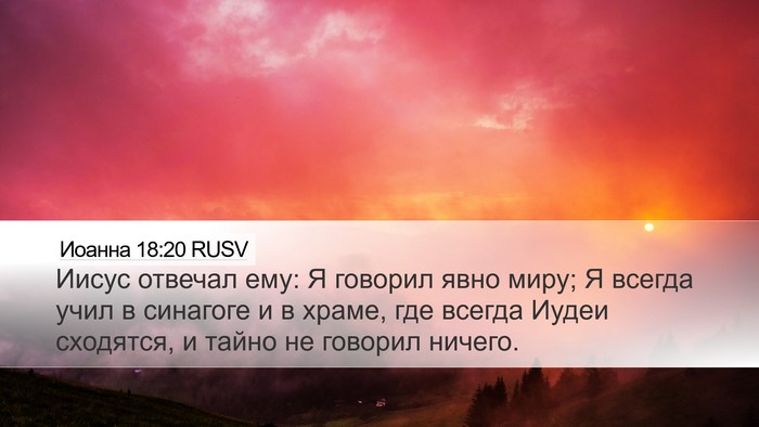 Иоанна 18:20 RUSV Bible Verse Image