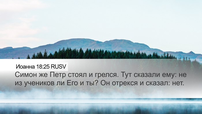 Иоанна 18:25 RUSV Bible Verse Image