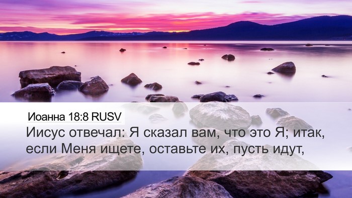 Иоанна 18:8 RUSV Bible Verse Image