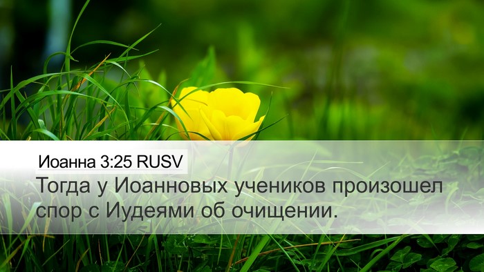 Иоанна 3:25 RUSV Bible Verse Image