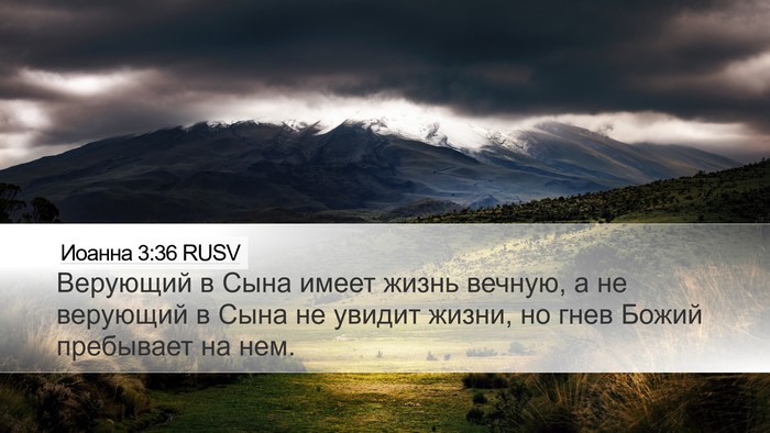 Иоанна 3:36 RUSV Bible Verse Image