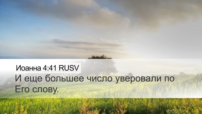 Иоанна 4:41 RUSV Bible Verse Image