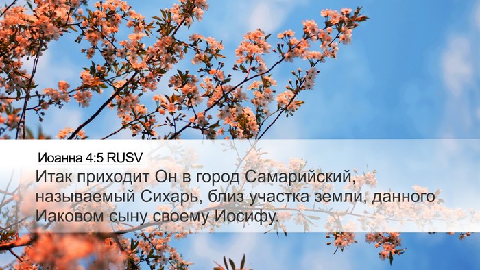Иоанна 4:5 RUSV Bible Verse Image