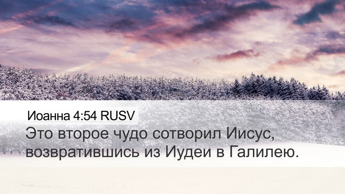 Иоанна 4:54 RUSV Bible Verse Image
